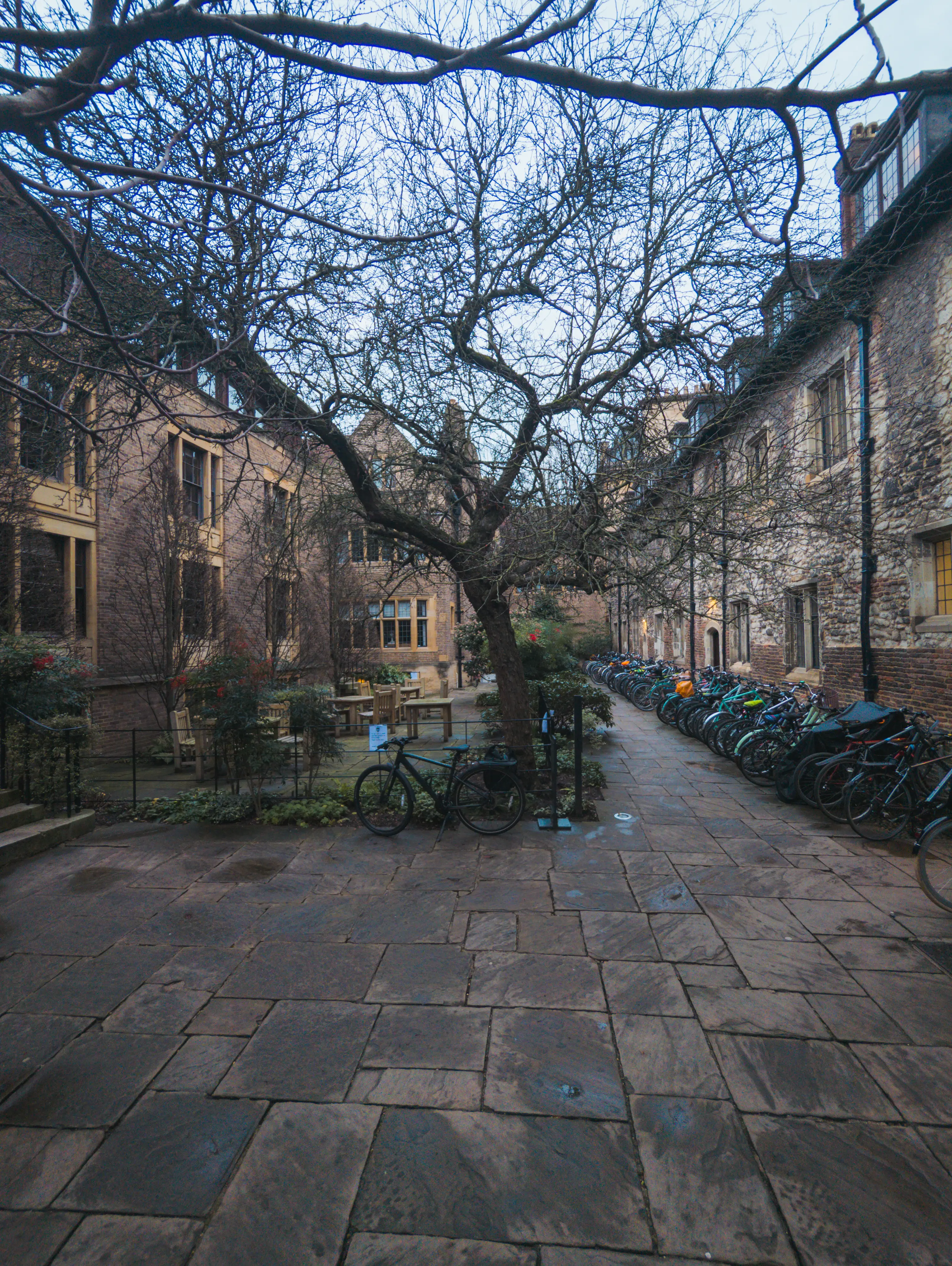 Trinity Hall College